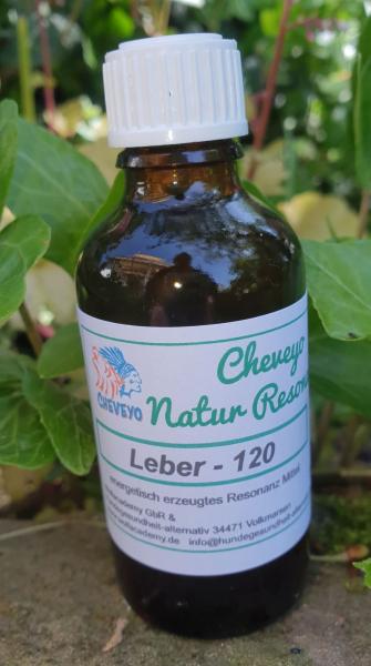 Leber - 120